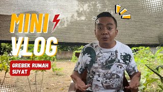 Download lagu SUKENI MINIVLOG -  GREBEK RUMAH SUYAT mp3