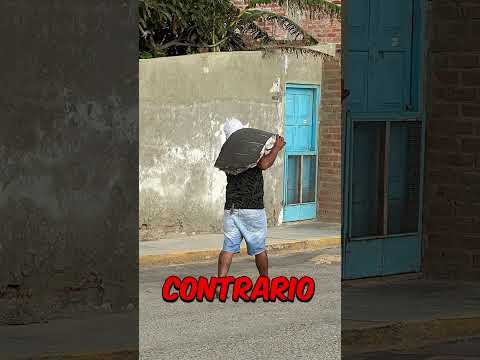 Perú tenía un tiburón de 0.01% de posibilidades y se lo comieron