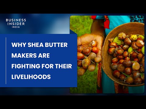 Why Shea Butter Makers In Ghana Are Fighting For Their Livelihoods