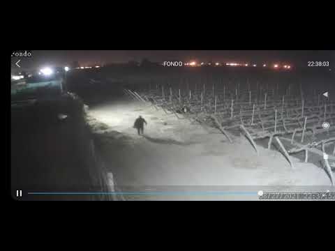 Pocito: dos ladrones se robaron un televisor de una casa del barrio privado 'Los Patos'