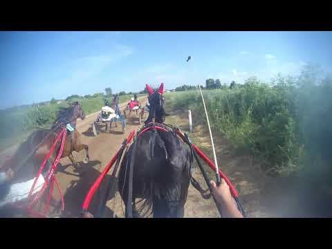 ,,JEGER SWEEP" 16.06.2019. Pozarevac 2.