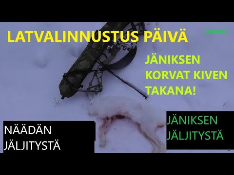 Latvalinnustus päivä/Näädän ja jäniksen jäljitystä TALJAJOUSELLA