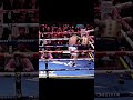 When A Boxer Enters The Flow State