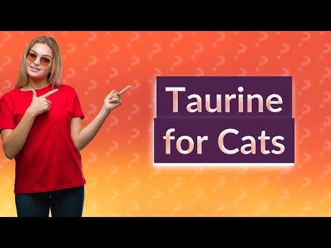 How much taurine do cats need?