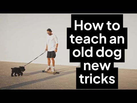 Can you really teach an old dog new tricks?
