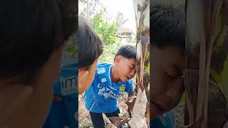 Download lagu nu mabok mp3 Download lagu nu mabok mp3
