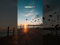 Kurumba Song Status D Imman Sid Sriram Madhan Karky Kurumba