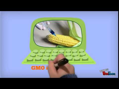 BT Corn Report; Biotechnology