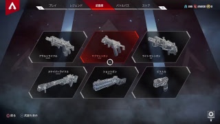 10時間耐久Apex　ウィングマン練習