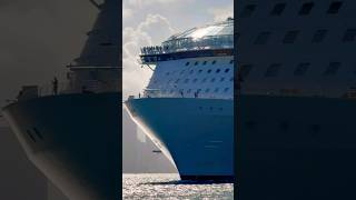 Symphony of the Seas 🛳️ #like #share #comment #subscribe #cruiseship #cruise #vacation #shorts #yt