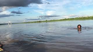 Song on the Amazon River