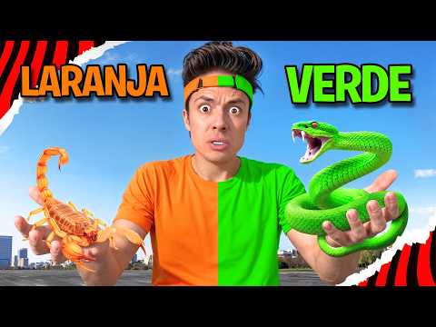 QUEM CUIDAR MELHOR DO ANIMAL DA SUA COR, VENCE!