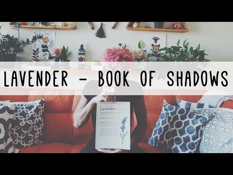 Lavender - Magical & Medical Uses | Book Of Shadows