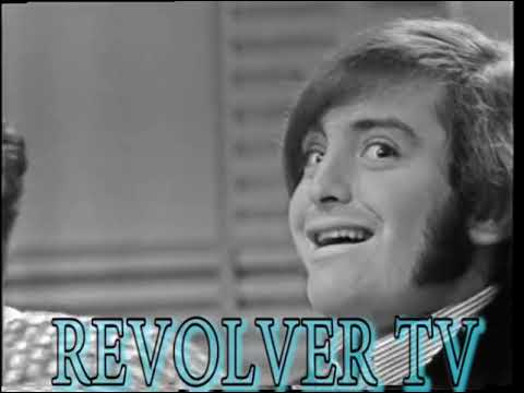 The Turtles - Happy Together & You Baby 1967 {RE-UPLOAD}