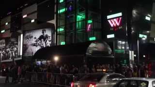 Zoological at The Wright Venue