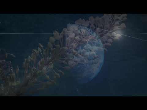 jóhann gunnarsson, Thomas Morgan, Joseph Branciforte  [One for Henry Grimes & Mr. Haden]