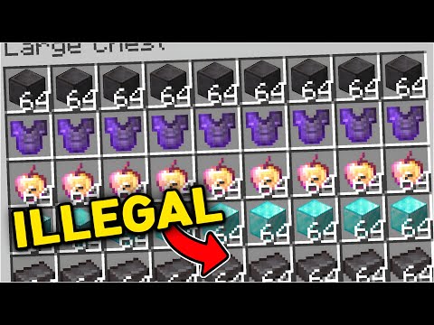 FLAME YT  - How I Duped 3,600,507 Items in this Minecraft SMP... here's why