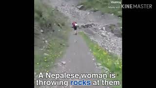 Ezra Furman Calm Down Paintbucket Video