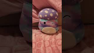 This is the only mushroom squishmallow I have, I think.