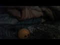 Teletubbies Tubbyland Ragdoll Bbc