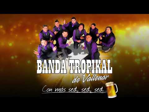 Una Rosa Para Ti - Banda Tropikal de Vallenar (Audio Oficial)