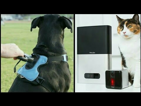 Amazing Inventions & Gadgets YOUR PET Wants🐈🐕