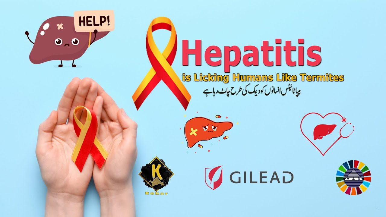 Hepatitis is Licking Humans Like Termites Documentary