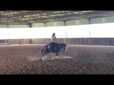 Mattie Gustin - 1st Time ride (Stewie?)