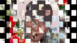 EL CABALLO Y LA PALOMA.