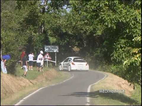 2° RALLY VALLI DEL DEL GIAROLO P.S. 1- Cecima.