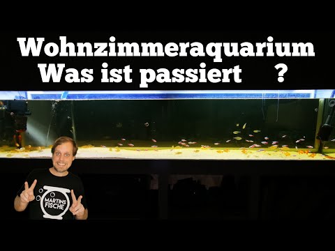 WOHNZIMMERAQUARIUM ABBAU - Was ist passiert?