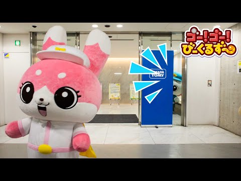 ゴー！ゴー！びーくるずーとかくれんぼ！｜幼児・子ども向け｜着ぐるみ【トミカ・プラレール・アニア】