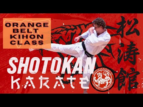 Shotokan Karate - 7th Kyu - Orange Belt - Static Kihon Class thumbnail