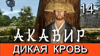 Скайрим. Мод АКАВИР. ПРОКЛЯТИЕ БЕССМЕРТНЫХ. Прохождение. Часть 14