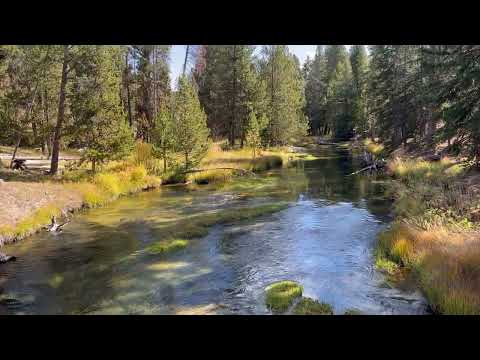 Yellowstone National Park - Old Faithful Geyser Basin - Picture Perfect Stream and Forest