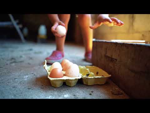 Estancia La Esperanza, Bañado de Soto, Provincia de Córdoba.