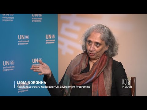 Ligia Noronha |  Assistant Secretary-General and Head of UN Environment Programme New York Office