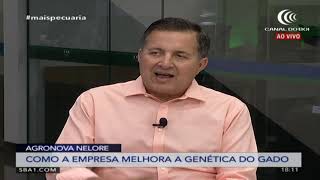 Miniatura do vídeo