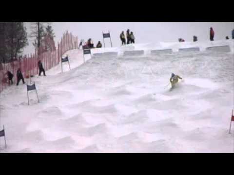 L'Art du Ski de Bosses