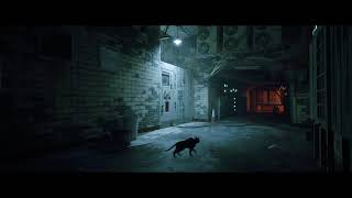 #3 迷い猫ヘッドスライディング【Stray】－Twitchアーカイブ