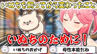 【いぬち】いぬちを飼ってから変わったこと【切り抜き/さくらみこ】