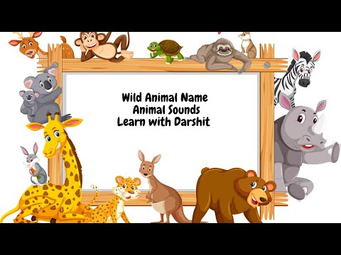 Learn Wild Animal Name | Animal Sound | Kids Learning | Learning with Darshit @CleverboyDarshit