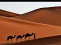 Ludmilla’s Theme … Henry Mancini
