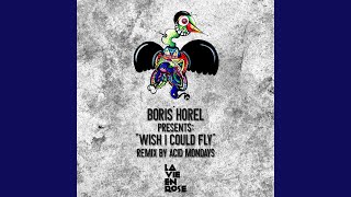 Wish I Could Fly (Acid Mondays Remix)