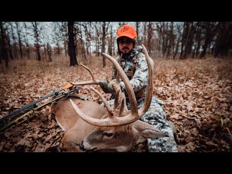 CRAZIEST DEER HUNT OF MY LIFE (5 deer in 20 minutes with my bow)
