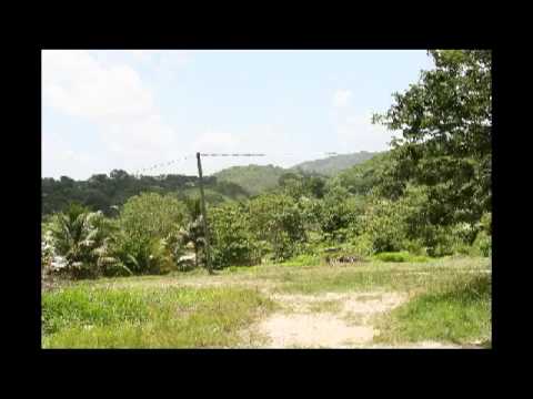 Only in Belize P1452