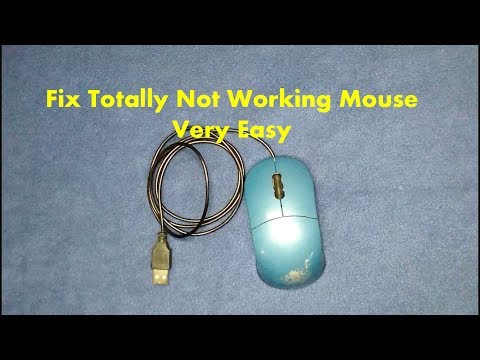 How to fix totally not working mouse