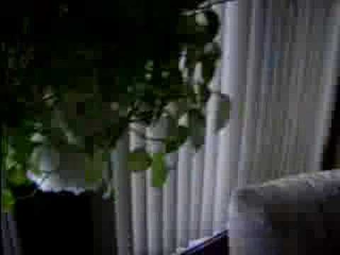 31 Roosevelt St. Revere