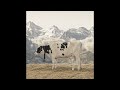 Ye - GEMINI SEASON (6/8/26)