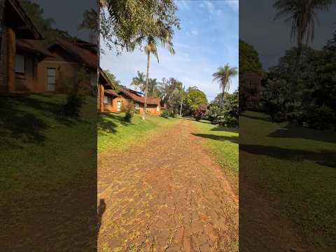 🌿 Hotel Cabañas del Parque en Oberá, Misiones | Naturaleza Pura